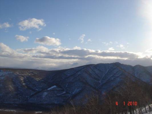 ����� �������� ����������� �����