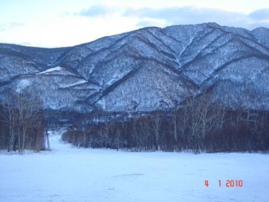 ���������� �������� ����� � ������ � ����� :(