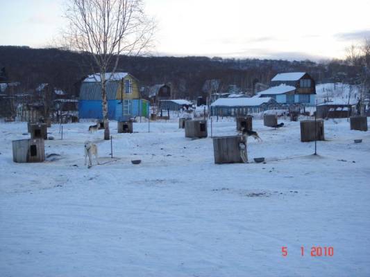 ������� �������� ��������� ����