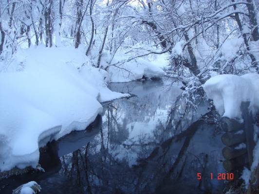 ���� �����