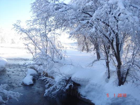 �� ���� ���������