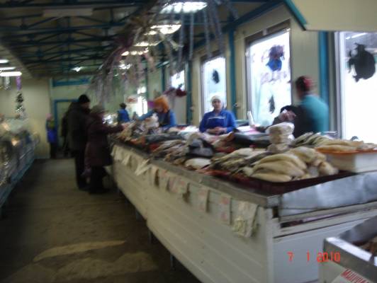 ������ �����