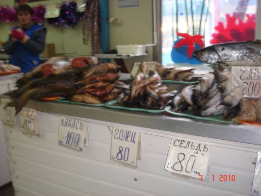 ������ ����� �������������-�����������