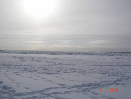 ���� 08.01.2010