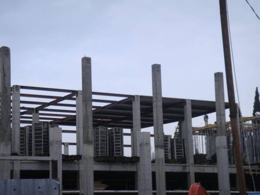 ������ ���������