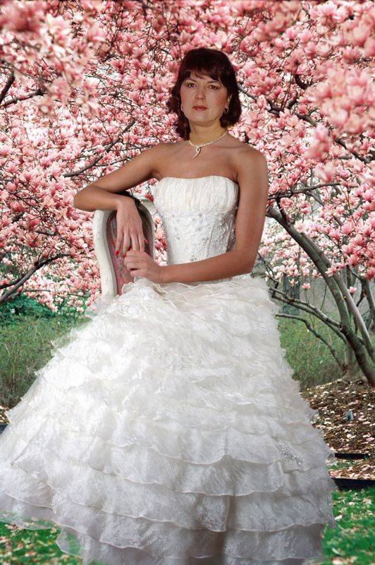 � �������� ����