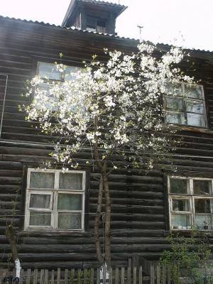 ����� � �����