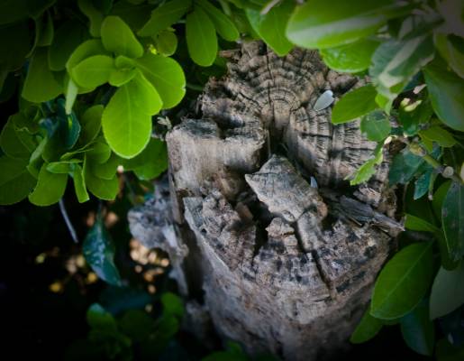 ���� � �������� ����