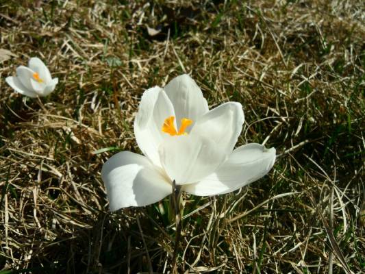 ������ �����