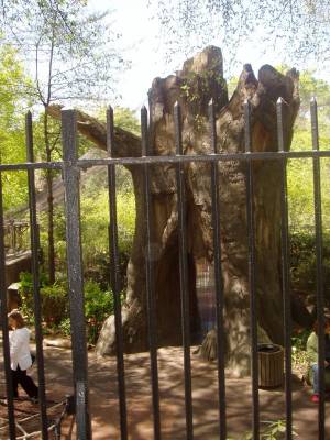 ������ ������ � �������� ����� ������� �����, ��