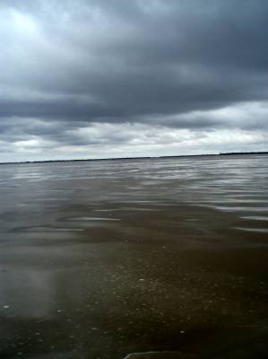 ��� ������ ����  ����� �����...