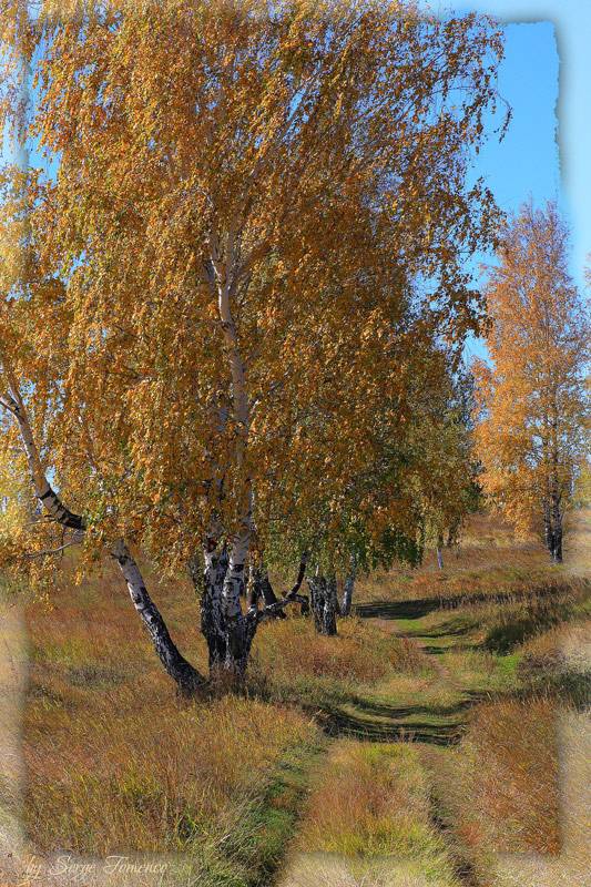 ������� �����...