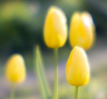 ������� � ������