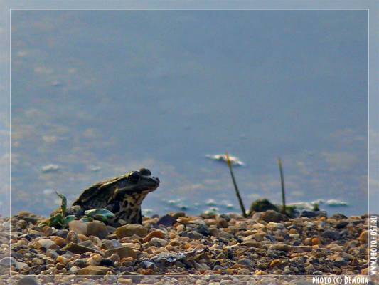  � ��� ��� ������?