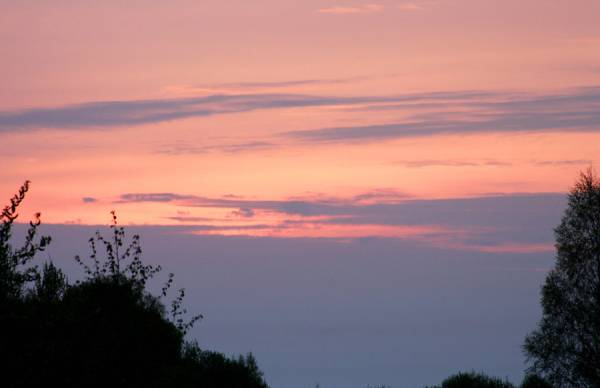 ����� ������