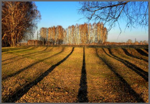 ������� ����