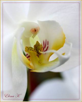 ��������...