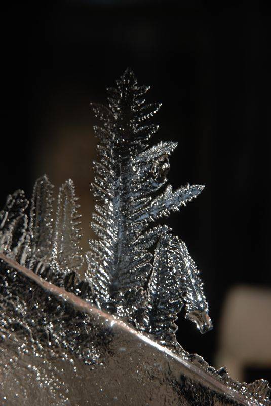 hoarfrost on the water