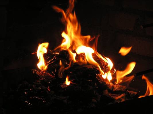 �������� ����