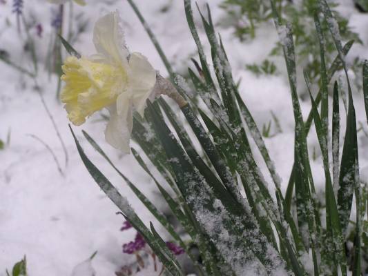 ����� ��� ������