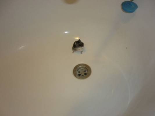 ���� ���������?))