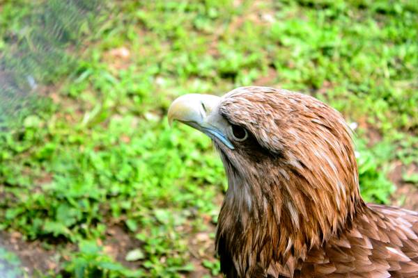 ���������� ���� � ������������������