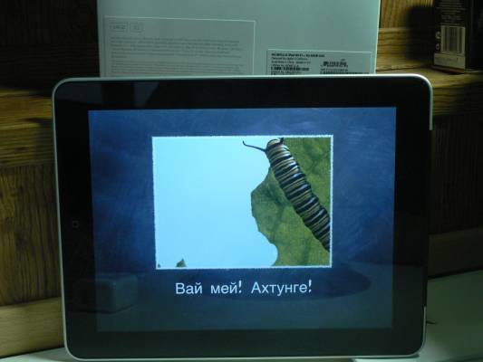 iPad