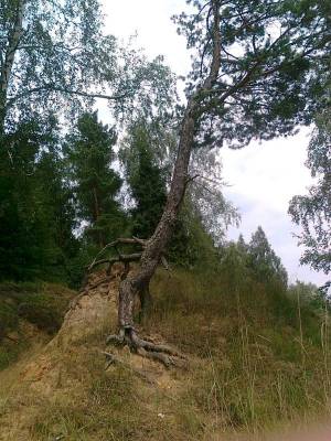 ������ �� ����� ...