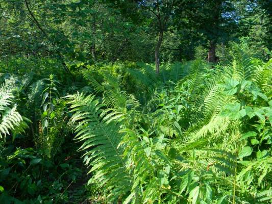 ���������� � ���� ������