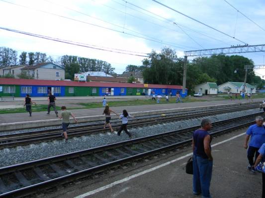 ��.��������. ����� ����� ���.10. ����� ����� �� ����� � �����. ��� ��� ��������