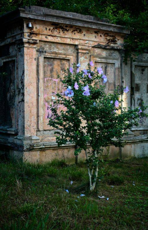 ��������� �������