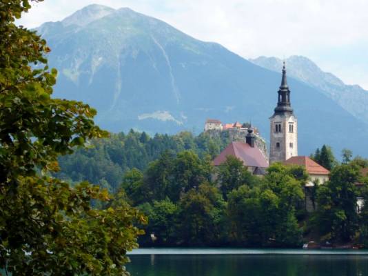 ����� ����