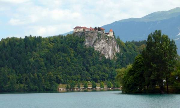 ����� ����