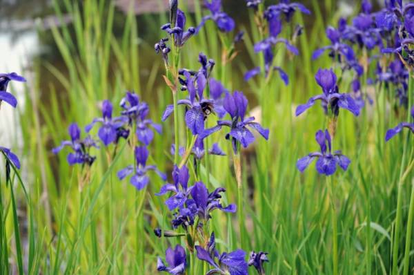 ���������...