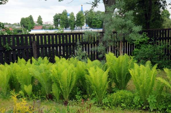 ��������� �����������...