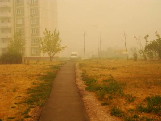 ������ 6 ������� 2010 ����