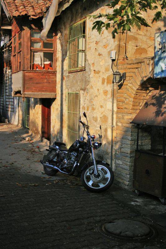 ����.������ �����.