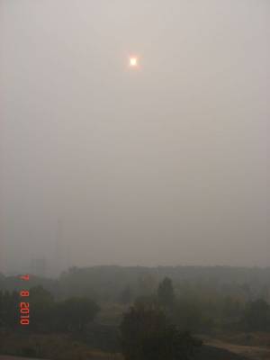 ������ 7 �������