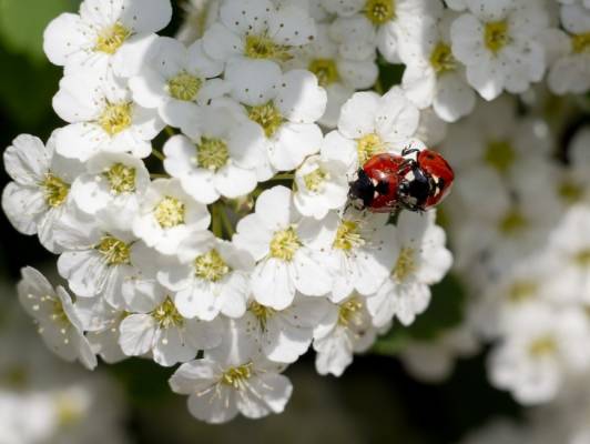 ������-�������