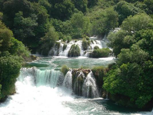 ��� ��������