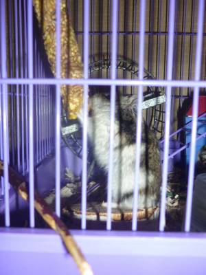 ���� �����... �������� �� ������)