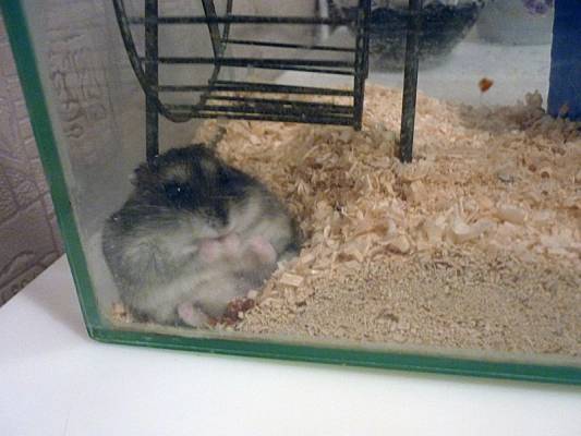 ��� � �����, ��� � � ������...