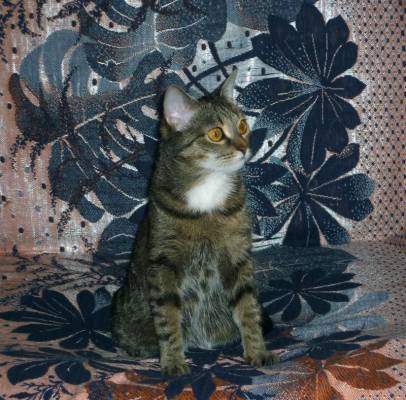 ��������