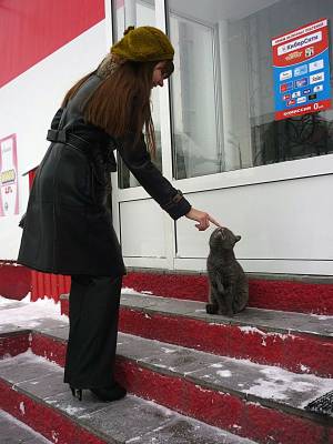 ������� ����