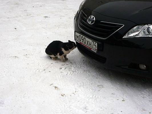 ����������, ��� �� �������..