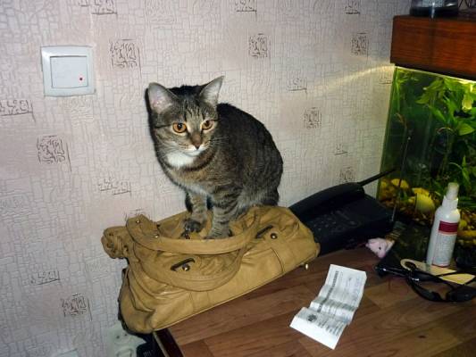 ���������