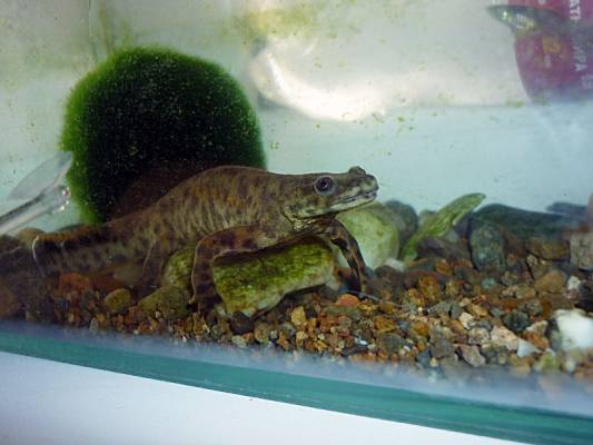 � ����� � ������ �������� �����