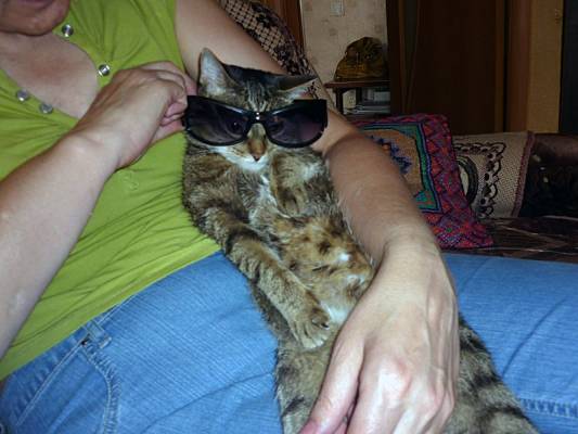 ����� ��� �����