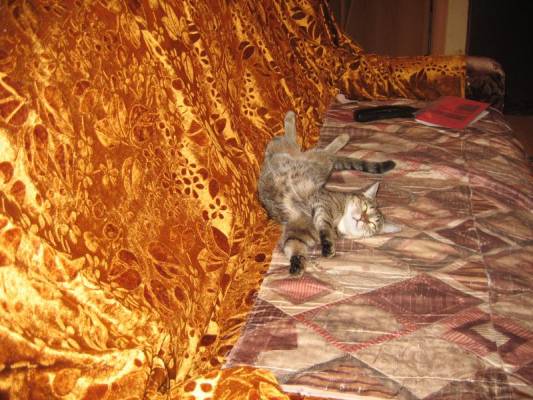 �������