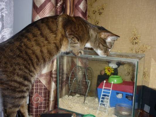 ��� ��� �����?